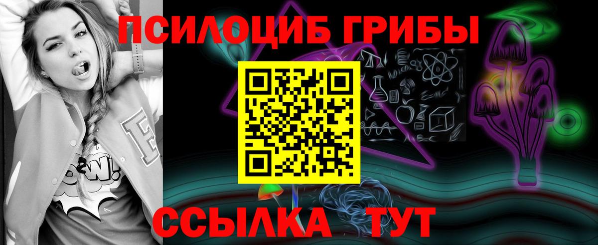 Псилоцибиновые грибы GOLDEN TEACHER Бутурлиновка